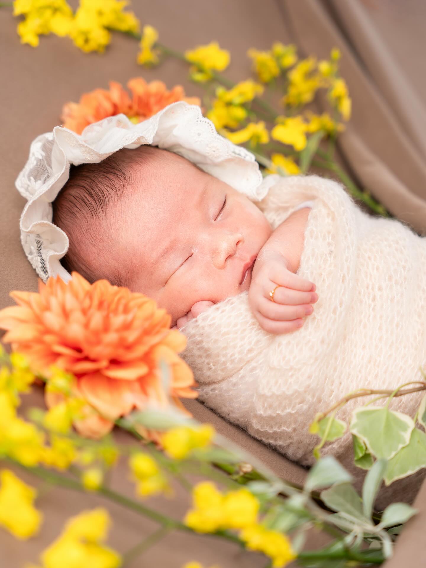 ︎ ︎ ︎ ︎ ︎ ︎ ︎ ︎ ︎ ︎ ︎ ︎ ︎ ︎ ︎ ︎ ︎ ︎ ︎ ︎ ︎ ︎ ︎ ︎ ︎ ︎ ︎ ︎ ︎ ︎ ︎ ︎ ︎ ︎ ︎ ︎ ︎ ︎ ︎ ︎ ︎ ︎ ︎ ︎ ︎ ︎ ︎ ︎ ︎
ㅤㅤㅤㅤㅤㅤㅤㅤㅤㅤㅤㅤㅤ
-` ̗ ℕ𝕖𝕨𝕓𝕠𝕣𝕟 ´-
︎ ︎ ︎ ︎ ︎ ︎ ︎ ︎ ︎ ︎ ︎ ︎ ︎ ︎ ︎ ︎ ︎ ︎ ︎ ︎ ︎ ︎ ︎ ︎ ︎ ︎ ︎ ︎ ︎ ︎ ︎ ︎ ︎ ︎ ︎ ︎ ︎ ︎ ︎ ︎ ︎ ︎ ︎ ︎ ︎
ㅤㅤㅤㅤㅤㅤㅤㅤㅤㅤㅤㅤ
- - - - - - - - - - - - - - - - - - - - - - - - - -
北九州市・直方市を中心に活動をしている
オレンジプラス🍊と申します˖ ࣪⊹
ご依頼があれば福岡県内(県外も可)どこでも出張撮影可能です.ᐟ.ᐟ
ㅤㅤㅤㅤㅤㅤㅤㅤㅤㅤㅤㅤㅤ
マタニティフォト
ニューボーンフォト
ハーフバースデー
お祝い事(お誕生日や七五三)
家族写真を残したい
など、色々な撮影を行いますので
ご質問やご依頼はお気軽にDMまでお願いいたします💌
ㅤㅤㅤㅤㅤㅤㅤㅤㅤㅤㅤㅤㅤ ︎︎
ㅤㅤㅤㅤㅤㅤㅤㅤㅤㅤㅤㅤㅤ- - - - - - - - - - - - - - - - - - - - - - - - - -
ㅤㅤㅤㅤㅤㅤㅤㅤㅤㅤㅤㅤㅤ
\ メインの撮影対象地区 /
ㅤㅤㅤㅤㅤㅤㅤㅤㅤㅤㅤㅤㅤ
#️⃣ 八幡西区、八幡東区、戸畑区、若松区、小倉区、門司区
#️⃣ 遠賀町、水巻町、芦屋町、岡垣町、鞍手町
#️⃣ 直方市、田川市、福智町、飯塚市
#️⃣ 宗像市、福津市、古賀市、新宮町、粕屋町、久山町、篠栗町
#️⃣ 福岡市、山口市、下関市